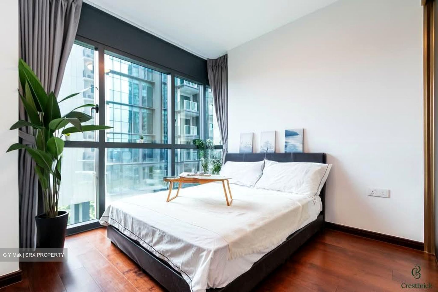 Normanton Park (D5), Apartment #554817321